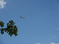 Western Michigan [2010] 379